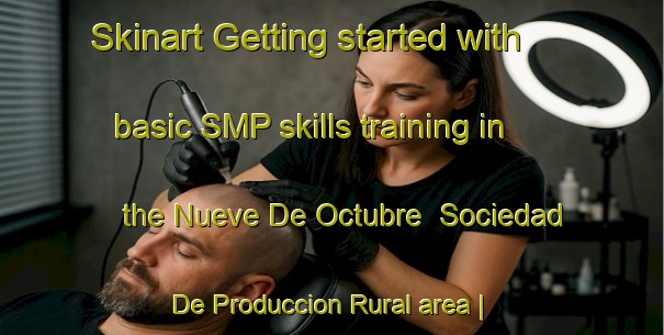 Skinart Getting started with basic SMP skills training in the Nueve De Octubre  Sociedad De Produccion Rural area | SmpTraining | SmpClasses | SkinartTraining-Mexico
